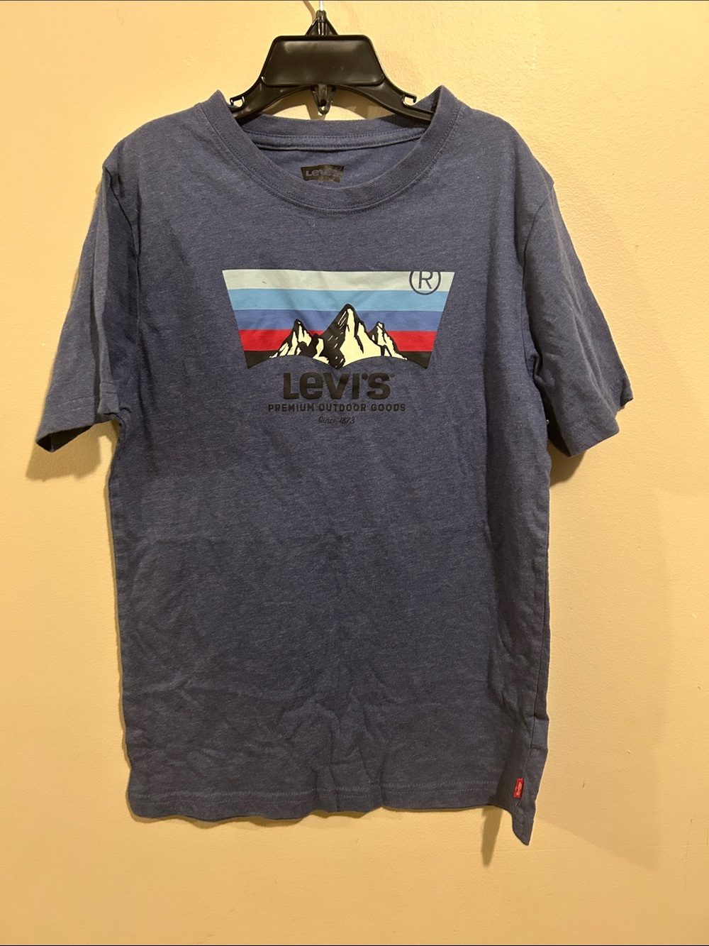 Levi's Navy Blue Graphic Mountain Short-Sleeve Tee
